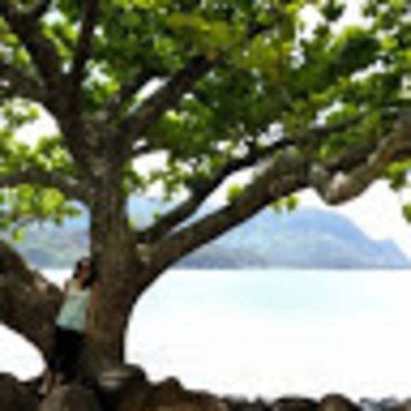 Profile Picture of Mari Ito (@meikko20) on Poshmark