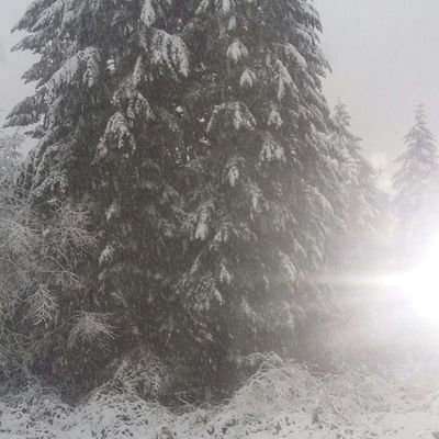 Profile Picture of Mike Starbird (@StarbirdMike) on Twitter