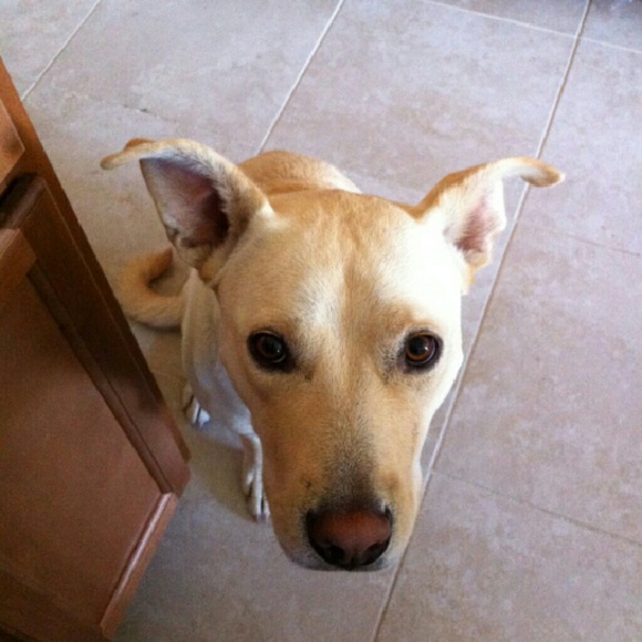 Profile Picture of Sami Schaaf (@samiray0905) on Poshmark