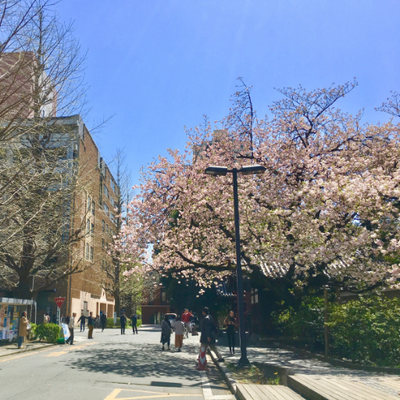 Profile Picture of Nazia Hussain (@naz_ahussain) on Twitter