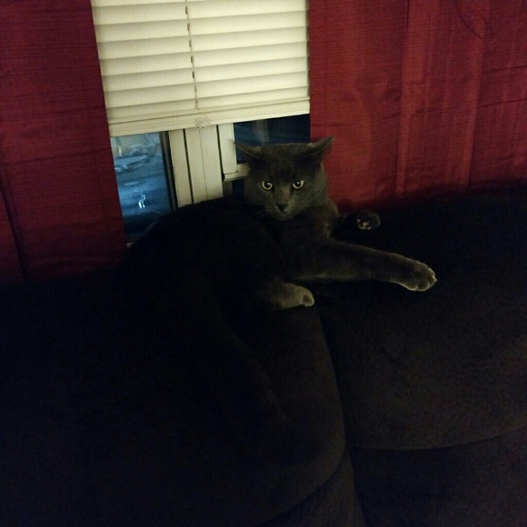 Profile Picture of Gabrielle Bernier (@gberns1019) on Poshmark