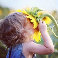 Profile Picture of Wing Fu (@wing-fu) on Quora