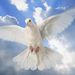 Profile Picture of lybia alexander (@ziondove) on Pinterest
