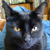 Profile Picture of Brian McPartlin (@CBNShaggy) on Youtube