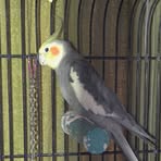 Profile Picture of Jon Hornbaker (@Jon-Hornbaker) on Facebook