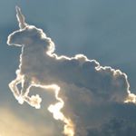 Sarah Everett - Instagram Profile Picture of Sarah Everett (@everett1227) on Instagram