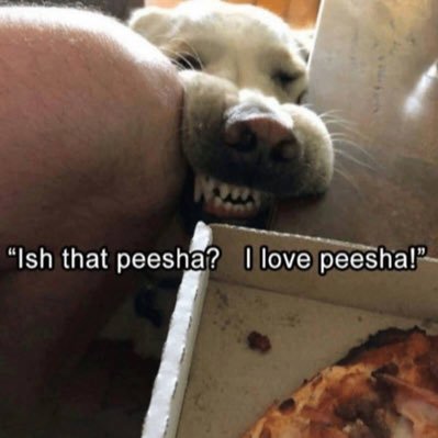 Profile Picture of Erik Helgeson (@ehelgeson) on Twitter