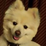 Profile Picture of Tony Diana Whiteside (@gavin_86__ar) on Instagram