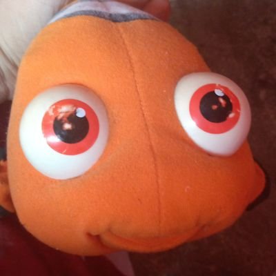 Profile Picture of Daniel Fabrizio (@DanielF19089350) on Twitter