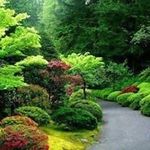 Profile Picture of Rian Ferrian (@rianferrian) on Instagram