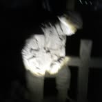 Profile Picture of Bobby Cermak (@bobby.cermak.5) on Facebook