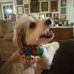 Profile Picture of Cindy Cotten (@cindy.cotten.50) on Facebook