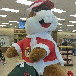 Profile Picture of Joe Healy (@healyjoe) on Instagram