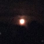 Profile Picture of Carson Spangler (@carson_spangler_229) on Instagram