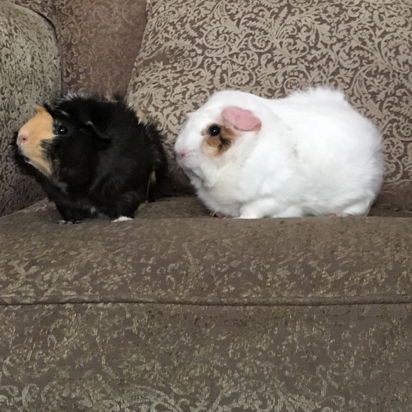 Profile Picture of Heather Shelofsky (@hshelofsky) on Poshmark