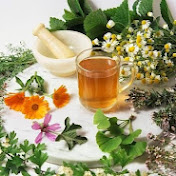 Profile Picture of Ariana Victoria Pojomovsky (@arianavictoriapojomovsky9262) on Youtube