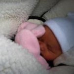 Noel Hedges - Instagram Profile Picture of Noel Hedges (@noelhedges) on Instagram