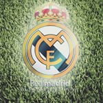 Profile Picture of David Stefanovic (@davidstefanovic97) on Instagram