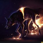 Profile Picture of Shawn Stickler (@sticksha000) on Instagram