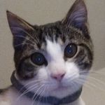 Profile Picture of Mason Travis Roy Watters (@waac.mason) on Instagram