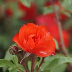 Profile Picture of Aaron Kenley (@aaron.kenley.2025) on Facebook