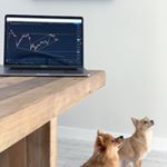 Profile Picture of Mark Hutchinson (@markhutchinson46) on Instagram