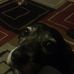 Profile Picture of Peter Frappier (@peter.frappier.3) on Facebook