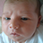 Profile Picture of Andy Sheldon (@Andy Sheldon) on Flickr