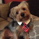 Profile Picture of Jameson Guinness Moore (@jamesonguinness) on Instagram