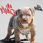 Profile Picture of Elijah Javan ruffin (@elijahjavanruffin) on Instagram