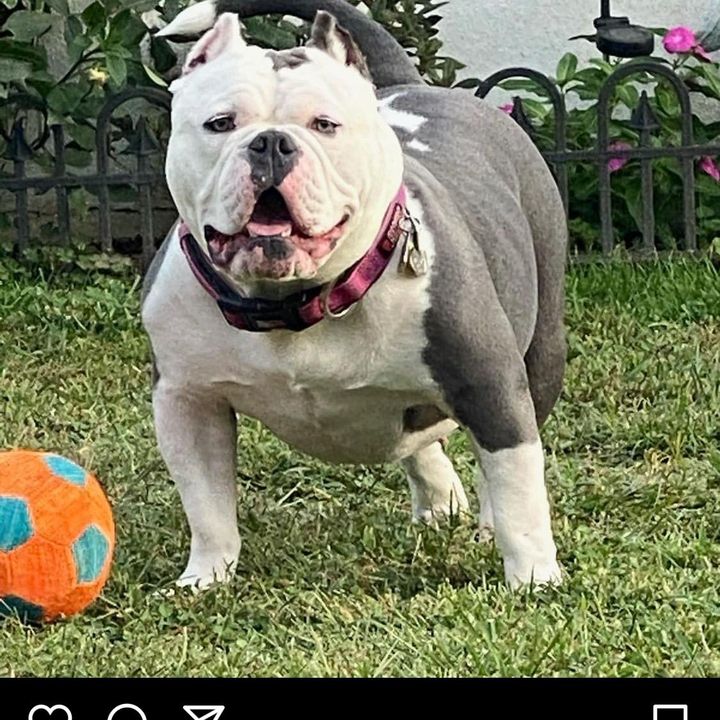 Profile Picture of user6573478181757 (@keithmayes8) on Tiktok