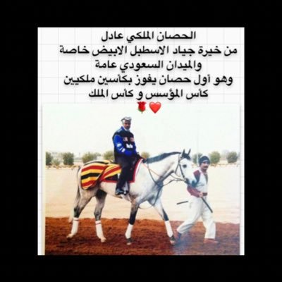 Profile Picture of XR_Adam (@JockeyAbuHala) on Twitter