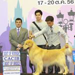 Profile Picture of Nantawangolden (@joniballgolden2288) on Instagram