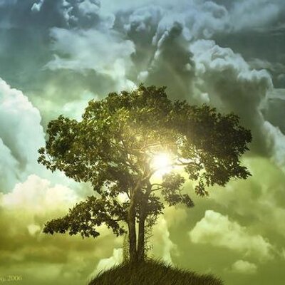 Profile Picture of Jeff Esposito (@TheAspen87312) on Twitter