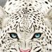 Profile Picture of Angel Gladding (@angel.gladding.9) on Facebook