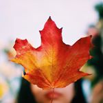 Profile Picture of Le Trinh (@lehientrinh) on Instagram