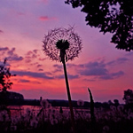 Profile Picture of Neumann.rusch (@neumann.rusch) on Flickr