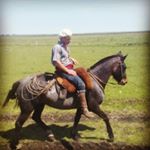 Profile Picture of Alejandro oroña... (@alejandroorona053) on Instagram