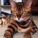 Profile Picture of Nicholas Ballesteros (@nicholasballesteros) on Pinterest