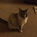 Profile Picture of Dixie Murphy (@dixie.murphy.986) on Facebook