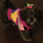 Profile Picture of Gabby Danielle Spruill (@gabbydanielle.spruill) on Instagram