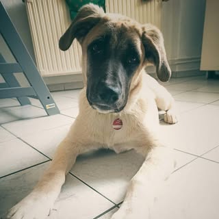 Profile Picture of Bobby (@roberthochstadter) on Instagram