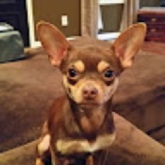 Mandy Powers - Poshmark Profile Picture of Mandy Powers (@mandypowers97) on Poshmark