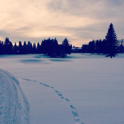 Profile Picture of Tyler (@tylerrourke9) on Twitter