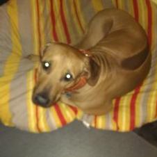 Profile Picture of Michael Elbing (@MichaelElbing) on Twitter