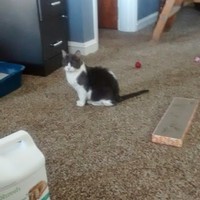 Andrew Gier - Quora Profile Picture of Andrew Gier (@andrew-gier-2) on Quora