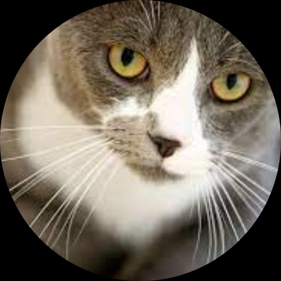 Profile Picture of Amber Thompson (@lilith_jasper) on Poshmark