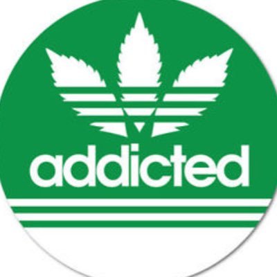 Profile Picture of Zach (@Zach_Griswold) on Twitter