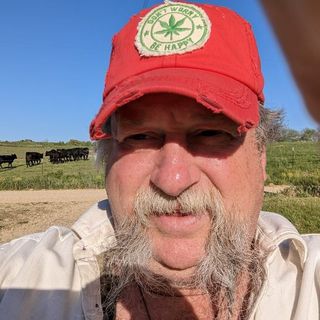 Profile Picture of Michael Sisson (@sissonmichael) on Instagram