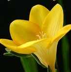 Profile Picture of Jabala Thomaskutty (@jabala.thomaskutty.1) on Facebook